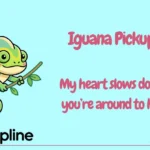 Iguana Pickup Lines